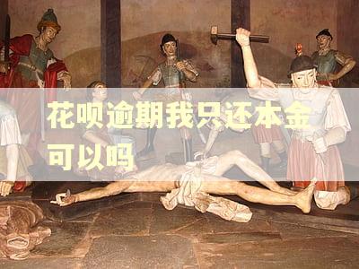 花呗逾期我只还本金可以吗 花呗逾期我只还本金可以吗