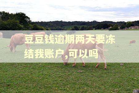 豆豆钱逾期两天要冻结我账户,可以吗