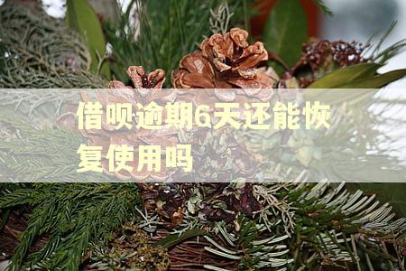 借呗逾期6天还能恢复使用吗