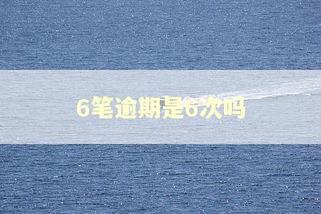 6笔逾期是6次吗