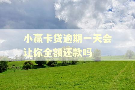 小赢卡贷逾期一天会让你全额还款吗