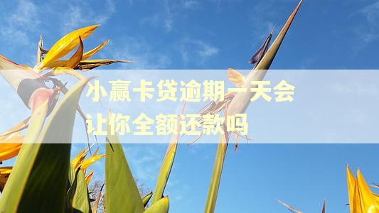小赢卡贷逾期一天会让你全额还款吗