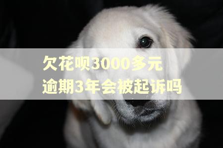 欠花呗3000多元逾期3年会被起诉吗
