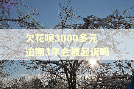 欠花呗3000多元逾期3年会被起诉吗