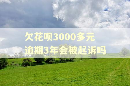 欠花呗3000多元逾期3年会被起诉吗