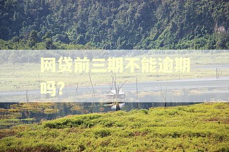 网贷前三期不能逾期吗? 网贷前三期不能逾期吗?