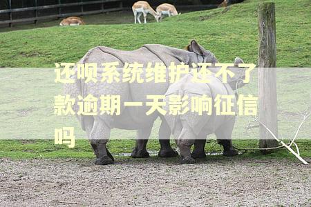 还呗系统维护还不了款逾期一天影响征信吗