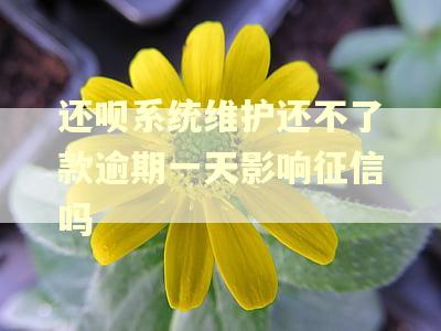 还呗系统维护还不了款逾期一天影响征信吗
