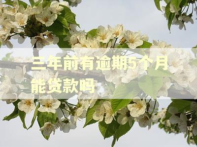 三年前有逾期5个月能贷款吗