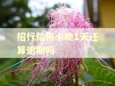 招行信用卡晚1天还算逾期吗