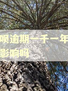 借呗逾期一千一年有啥影响吗 借呗逾期一千一年有啥影响吗