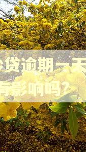 e秒贷逾期一天,额度有影响吗?