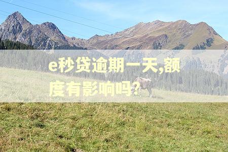 e秒贷逾期一天,额度有影响吗?
