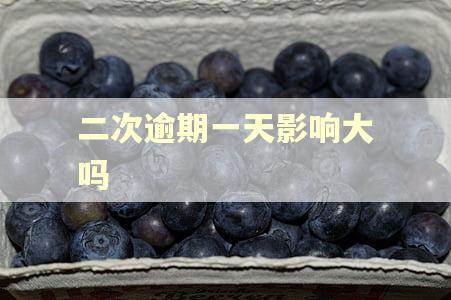二次逾期一天影响大吗