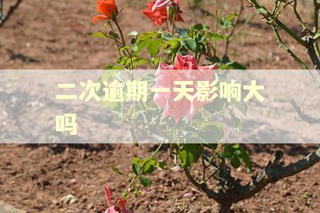 二次逾期一天影响大吗
