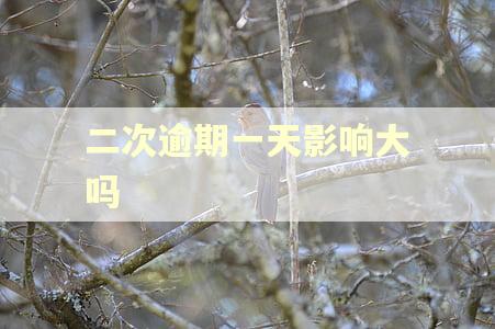 二次逾期一天影响大吗
