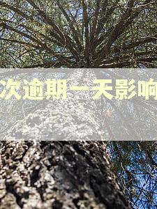 二次逾期一天影响大吗 二次逾期一天影响大吗