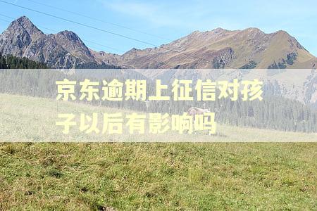 京东逾期上征信对孩子以后有影响吗