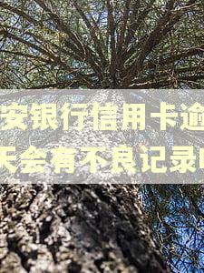 平安银行信用卡逾期4天会有不良记录吗