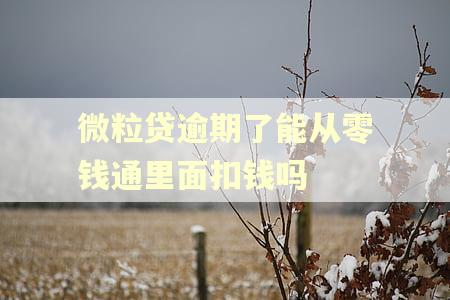 微粒贷逾期了能从零钱通里面扣钱吗 微粒贷逾期了能从零钱通里面扣钱吗