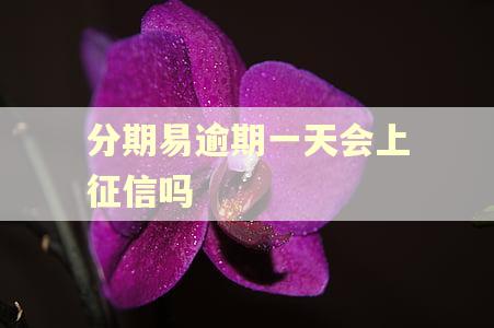 分期易逾期一天会上征信吗