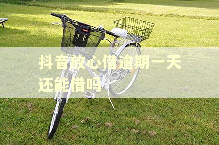 抖音放心借逾期一天还能借吗