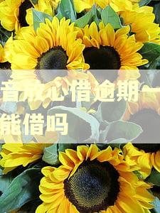 抖音放心借逾期一天还能借吗
