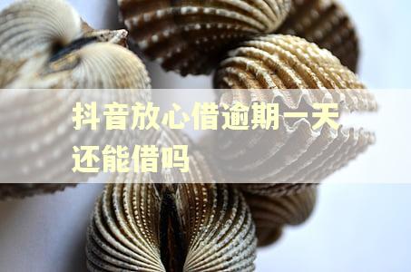 抖音放心借逾期一天还能借吗