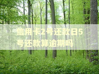 信用卡2号还款日5号还款算逾期吗