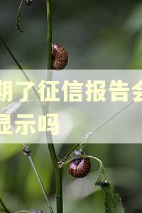 逾期了征信报告会马上显示吗