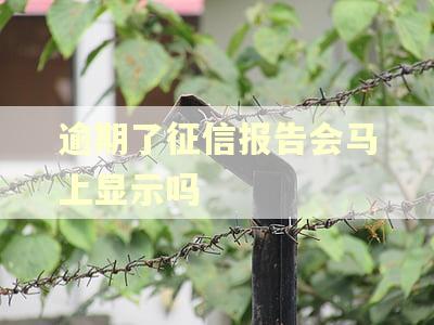 逾期了征信报告会马上显示吗