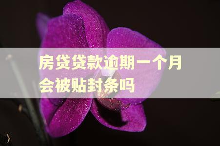 房贷贷款逾期一个月会被贴封条吗
