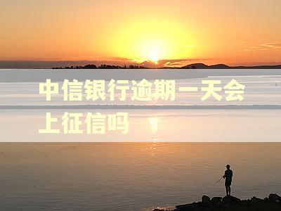 中信银行逾期一天会上征信吗