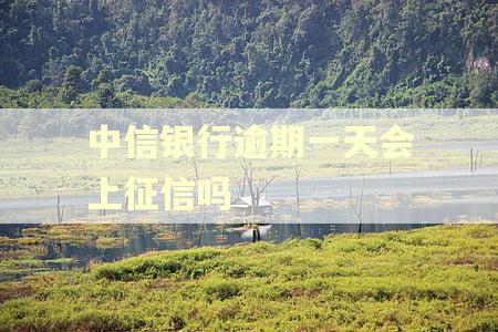 中信银行逾期一天会上征信吗