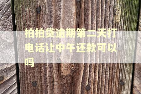 拍拍贷逾期第二天打电话让中午还款可以吗