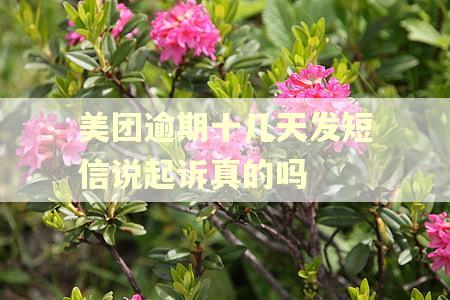 美团逾期十几天发短信说起诉真的吗