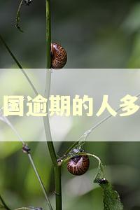 中国逾期的人多吗