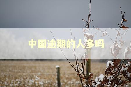 中国逾期的人多吗