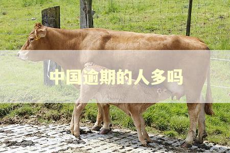中国逾期的人多吗 中国逾期的人多吗