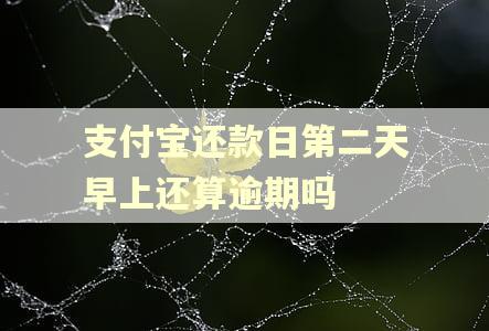 支付宝还款日第二天早上还算逾期吗