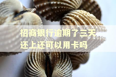 招商银行逾期了三天还上还可以用卡吗