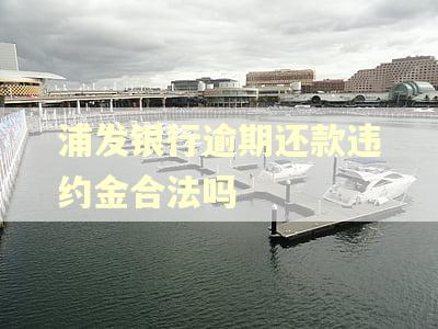 浦发银行逾期还款违约金合法吗