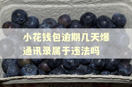 小花钱包逾期几天爆通讯录属于违法吗