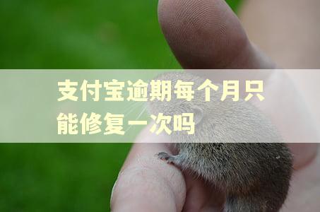 支付宝逾期每个月只能修复一次吗