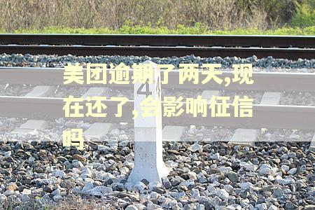 美团逾期了两天,现在还了,会影响征信吗