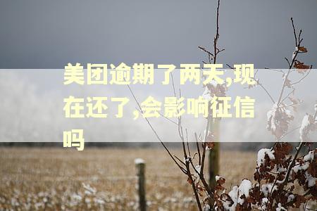 美团逾期了两天,现在还了,会影响征信吗