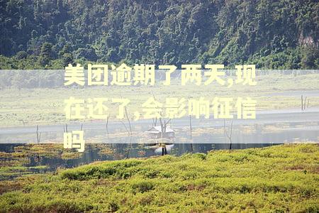 美团逾期了两天,现在还了,会影响征信吗