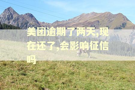 美团逾期了两天,现在还了,会影响征信吗