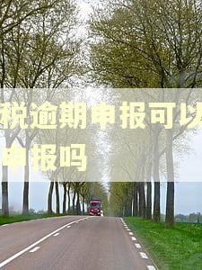 个税逾期申报可以网上申报吗