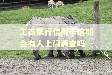 工商银行信用卡逾期会有人上门调查吗